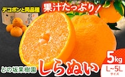 不知火 (デコポンと同品種 ) しらぬい 約5kg (L～5Lサイズ) どの坂果樹園《2026年2月中旬-4月上旬頃出荷》 和歌山県 日高町 しらぬい 不知火 デコポン でこぽん 旬 果物 フルーツ 柑橘---wsh_dsk1_g24_24_11000_5kg---