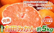 家庭用 完熟 有田みかん 5kg+250g （傷み補償分）【光センサー選果】池田鹿蔵農園@日高町（池田農園株式会社）《11月中旬-1月下旬頃出荷》和歌山県 日高町 訳あり わけあり みかん【配送不可地域あり】---wsh_idn285_11c1g_25_16000_5kg---