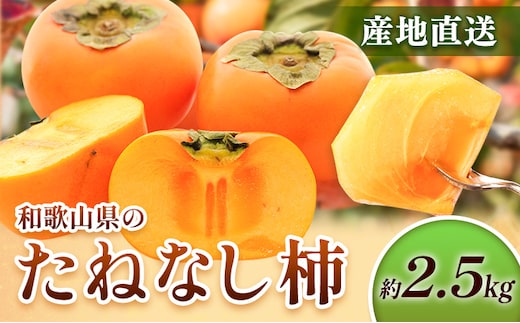 ＜10月より発送＞たねなし柿 約2.5kg 刀根早生 平核無柿 ひらたねなしかき 池田鹿蔵農園《10月上旬-12月上旬頃出荷》 和歌山県 日高町 柿 カキ かき たねなし ジューシー フルーツ 種無柿 種無し柿 種なし柿 無核柿---wsh_idn367_10j12j_26_13000_2500g---