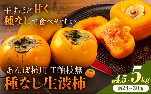 【2026年先行予約】柿 かき あんぽ柿用 T軸枝無 種なし 生渋柿 4.5~5kg ふるさと農園《10月中旬-11月上旬頃より発送予定(土日祝除く)》 和歌山県 日高町 贈り物 ギフト---wsh_fsn16_10c11j_25_16000_2430---