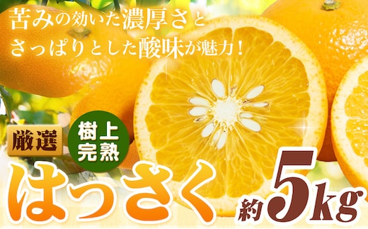 厳選 樹上完熟 はっさく 八朔 みかん 5kg＋250g 傷み補償分 池田鹿蔵農園 @日高町《4月上旬-5月末頃出荷》和歌山県 日高町 送料無料 はっさくみかん ハッサク 厳選八朔みかん【配送不可地域あり】---wsh_idn321_4j5m_25_13000_5kg---