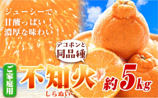 家庭用 不知火5kg+250g(傷み補償分)【デコポンと同品種・人気の春みかん】【光センサー食頃出荷】【訳あり】 池田鹿蔵農園@日高町（池田農園株式会社）《2月上旬-3月末頃出荷》和歌山県 日高町【配送不可地域あり】---wsh_idn335_2j3m_25_15000_5kg---