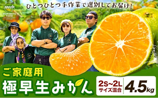 みかん ご家庭用 柑橘 極早生 極早生みかん 手選別 2S-2Lサイズ混合 4.5kg 森本農園《10月上旬-11月上旬頃出荷》和歌山県 日高町 柑橘類 フルーツ 家庭用 ミカン お取り寄せフルーツ【配送不可地域あり】---wsh_mnn26_10j11j_26_11000_4500g---