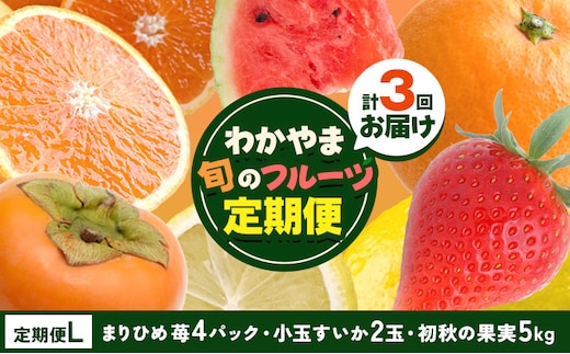 わかやま旬の フルーツ 定期便 【全3回】内容量 L 有田マルシェ《発送月固定・全3回出荷》 和歌山県 日高町 苺 いちご 柑橘 オレンジ 小玉 スイカ レモン みかん 有田 みかん 柿 果物 定期 柑橘 果物【配送不可地域あり】 ---wsh_arm61_30d_25_42000_l---