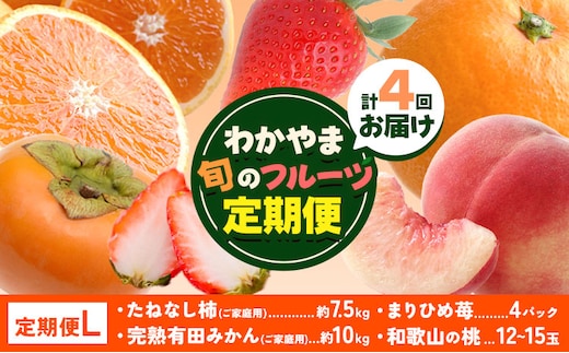 わかやま旬の フルーツ 定期便 【全4回】内容量 L 有田マルシェ《発送月固定・全4回出荷》 和歌山県 日高町 苺 いちご 柑橘 オレンジ 小玉 みかん 有田 みかん たねなし柿 柿 桃 モモ もも 果物 定期 柑橘 果物【配送不可地域あり】 ---wsh_armtei9_26_82000_101127y4---