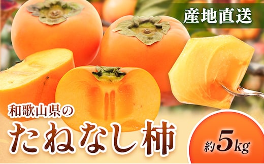 ＜10月より発送＞たねなし柿 約5kg 刀根早生 平核無柿 ひらたねなしかき 池田鹿蔵農園《10月上旬-12月上旬頃出荷》 和歌山県 日高町 柿 カキ かき たねなし ジューシー フルーツ 種無柿 種無し柿 種なし柿 無核柿---wsh_idn368_10j12j_26_18000_5kg---