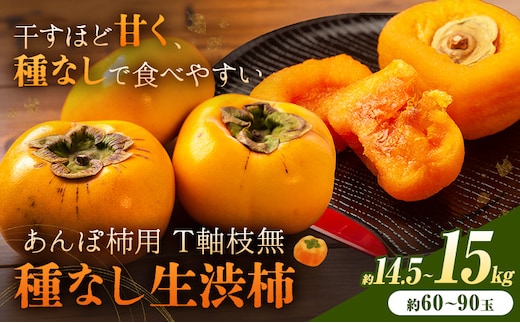 【2026年先行予約】柿 かき あんぽ柿用 T軸枝無 種なし 生渋柿 14.5~15kg ふるさと農園《10月中旬-11月上旬頃より発送予定(土日祝除く)》 和歌山県 日高町 贈り物 ギフト---wsh_fsn17_10c11j_25_40000_6090---