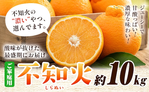 家庭用 不知火 約10kg+250g(傷み補償分)【デコポンと同品種】【訳あり】 池田鹿蔵農園@日高町（池田農園株式会社）《2月上旬-3月末頃出荷》和歌山県 日高町【配送不可地域あり】---wsh_idn348_2j3m_25_22000_10kg---