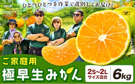みかん ご家庭用 柑橘 極早生 極早生みかん 手選別 2S-2Lサイズ混合 6kg 森本農園《10月上旬-11月上旬頃出荷》和歌山県 日高町 柑橘類 フルーツ 家庭用 ミカン お取り寄せフルーツ【配送不可地域あり】---wsh_mnn28_10j11j_26_12000_6kg---