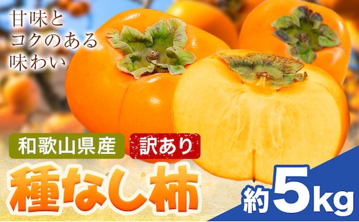 家庭用 種なし柿 約5kg 訳あり 池田鹿蔵農園《10月上旬-12月上旬頃出荷》和歌山県 日高町 刀根早生柿 平核無柿 ひらたねなしかき カキ 種なし柿---wsh_idn373_10j12j_26_14000_5kg---