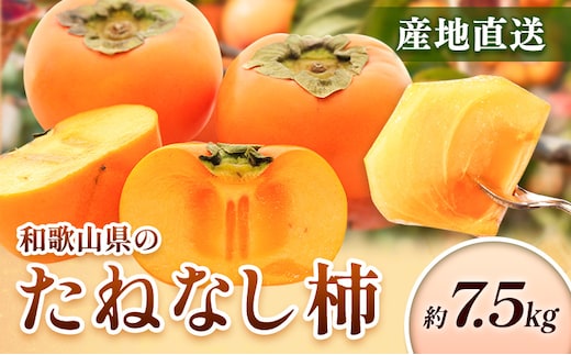 ＜10月より発送＞たねなし柿約7.5kg 刀根早生 平核無柿 ひらたねなしかき 池田鹿蔵農園《10月上旬-12月上旬頃出荷》 和歌山県 日高町 柿 カキ かき たねなし ジューシー フルーツ 種無柿 種無し柿 種なし柿 無核柿---wsh_idn369_10j12j_26_22000_7500g---
