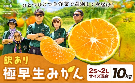 みかん 訳あり 柑橘 極早生 極早生みかん 手選別 2S-2Lサイズ混合 10kg 森本農園《10月上旬-11月上旬頃出荷》和歌山県 日高町 柑橘類 フルーツ わけあり ミカン お取り寄せフルーツ【配送不可地域あり】---wsh_mnn40_10j11j_26_13000_10kg---