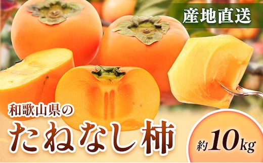 ＜10月より発送＞たねなし柿 約10kg 刀根早生 平核無柿 ひらたねなしかき 池田鹿蔵農園《10月上旬-12月上旬頃出荷》 和歌山県 日高町 柿 カキ かき たねなし ジューシー フルーツ 種無柿 種無し柿 種なし柿 無核柿---wsh_idn370_10j12j_26_26000_10kg---