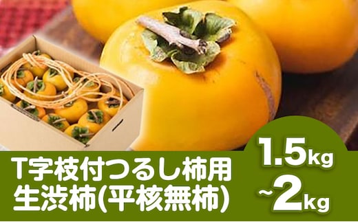 【2026年先行予約】T字枝付つるし柿用生渋柿 1.5~2kg ふるさと農園《10月中旬-11月上旬頃より発送予定(土日祝除く)》---wsh_fsn1_10c11j_25_12000_2kg---