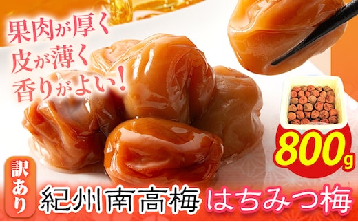 南高梅 はちみつ 梅 わけあり 紀州南高梅 はちみつ梅 約800g 有限会社プラム《30日以内に出荷予定(土日祝除く)》和歌山県 日高町 送料無料 梅 うめ ウメ 南高梅 蜂蜜 紀州 訳あり 送料無料---wsh_plm17_30d_25_10000_800g---