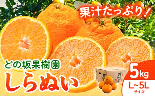 不知火 ( デコポン と同品種 ) しらぬい 約 5kg (L～5Lサイズ) どの坂果樹園《2月中旬-4月上旬頃出荷》 和歌山県 日高川町 しらぬい 不知火 デコポン でこぽん 旬 果物 フルーツ 柑橘 産地直送 送料無料---wshg_245_g24_23_11000_5kg---