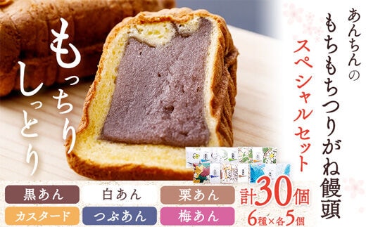 あんちんのもちもちつりがね饅頭 スペシャルセット 全6種×5個 計30個 有限会社あんちん 30日以内に出荷予定(土日祝除く) 和歌山県 日高川町 まんじゅう 饅頭 和菓子 スイーツ---wshg_antug_30d_22_14000_30cc---