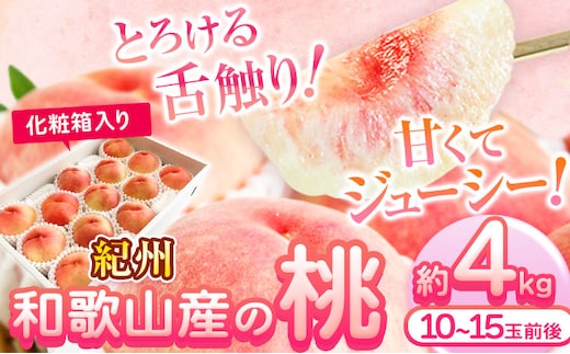 【先行予約】桃 もも 紀州 和歌山産 の 桃 4kg 化粧箱入 魚鶴商店《2026年6月下旬-8月上旬より発送予定》 和歌山県 日高川町 贈り物 ギフト---wshg_cuot150_6g8j_25_26000_4kg---
