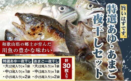 旨いはずです。」特選あゆ・あまご一夜干しセット(30枚入) 日高川漁業