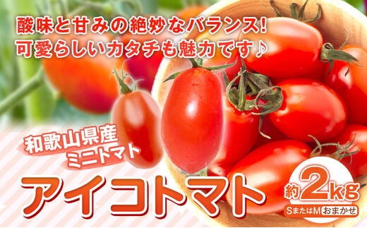 和歌山産 ミニトマト アイコトマト 約2kg SまたはMサイズ サイズ ...