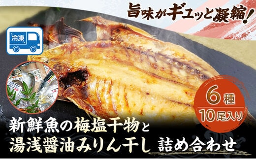 新鮮魚の梅塩干物と湯浅醤油みりん干し6品種10尾入りの詰め合わせ(和歌山近海産の新鮮魚使用) 厳選館《90日以内に出荷予定(土日祝除く)》和歌山県 日高川町 送料無料----wshg_fgenhset6_90d_22_13000_10b---