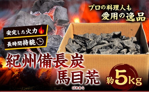 紀州備長炭 馬目荒 約5kg 株式会社紀 《30日以内に出荷予定(土日祝除く) 》 和歌山県 日高川町 備長炭 炭 プロの 料理人 愛用---wshg_hjm3_30d_23_21000_5kg---