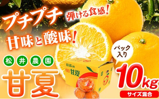 【先行予約】【ふるさと納税】パック入り 甘夏 10kg(サイズ混合) 松井農園《2026年4月上旬-5月中旬頃出荷》和歌山県 日高川町 フルーツ 柑橘 あまなつ---wshg_mti2_a45_23_14000_10kg---