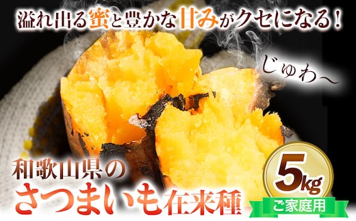 和歌山県の さつまいも 在来種 訳ありご家庭用 5kg《12月中旬-5月上旬頃出荷》和歌山県 日高川町 みはらファーム さつま芋 薩摩芋---wshg_mhr14_12c5j_26_10000_5kg---