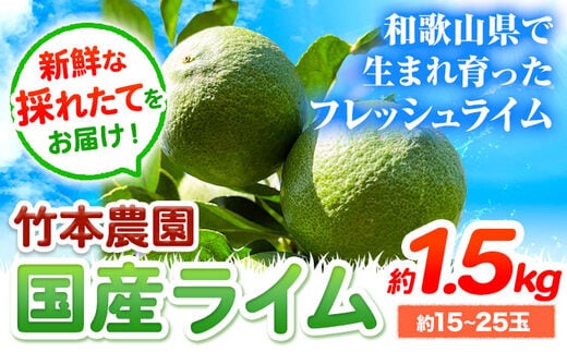 【先行予約】ライム 国産 ライム 約1.5kg ( 15～25玉 )《2026年9月下旬-12月中旬頃出荷》竹本農園 和歌山県 日高川町 産地直送 旬 新鮮 果物 柑橘 らいむ フルーツ 国産 送料無料---wshg_tn1_h912_23_6000_1500g---｜ライムライムライムライムライムライムライムライムライムライム