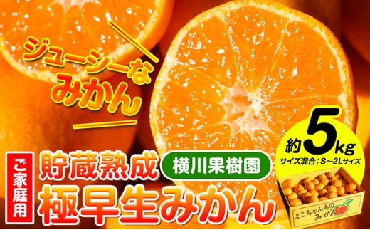 貯蔵熟成 極早生みかん(日南1号) 約5kg S～2L 家庭用 サイズ混合 横川果樹園 《9月下旬-10月下旬頃出荷》 和歌山県 日高川町 みかん 完熟 柑橘 フルーツ 極早生 送料無料---wshg_ykk6_9g10g_24_10000_5kg---