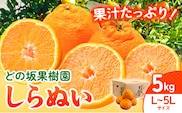 不知火 ( デコポン と同品種 ) しらぬい 約 5kg (L～5Lサイズ) どの坂果樹園《2月中旬-4月上旬頃出荷》 和歌山県 日高川町 しらぬい 不知火 デコポン でこぽん 旬 果物 フルーツ 柑橘 産地直送 送料無料---wshg_245_g24_23_11000_5kg---