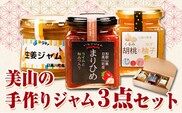 美山の手作りジャム３点セット 日高川町生活研究グループ美山支部《30日以内に出荷予定(土日祝除く) 》和歌山県 日高川町 ジャム いちご 生姜 胡桃 柚子---wshg_hsk8_30d_24_10000_3s---