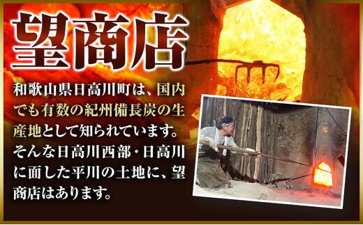 紀州備長炭 訳あり 約4kg 望商店 《30日以内に順次出荷(土日祝除く