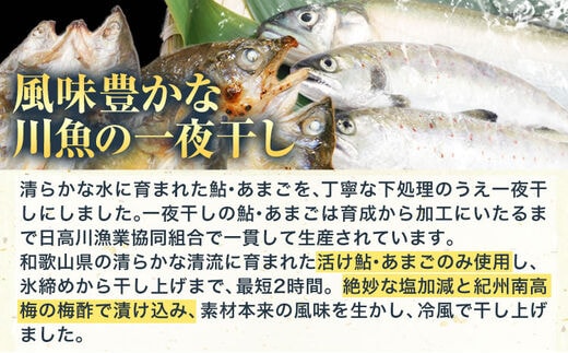 旨いはずです。」特選あゆ・あまご一夜干しセット(30枚入) 日高川漁業