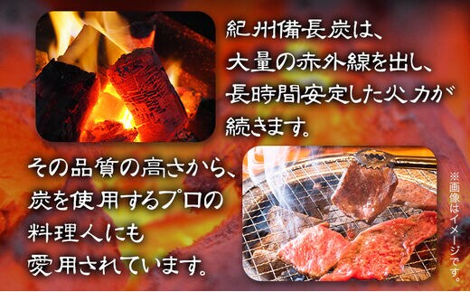 紀州備長炭 訳あり 約4kg 望商店 《30日以内に順次出荷(土日祝除く