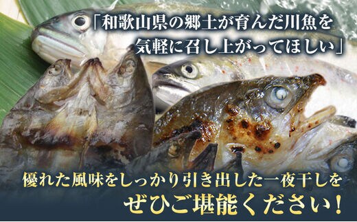 旨いはずです。」特選あゆ・あまご一夜干しセット(30枚入) 日高川漁業