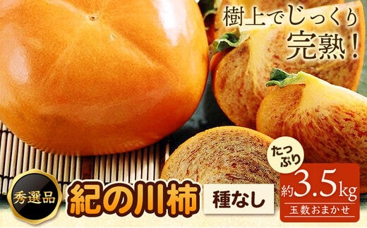 希少 紀の川柿 約3.5kg（種無し）【2026年先行予約】 秀選品 厳選館 《2026年11月上旬-11月中旬頃出荷》 和歌山県 日高川町 柿 カキ かき ジューシー フルーツ---wshg_tmt251_11j11c_25_18000_4kg---
