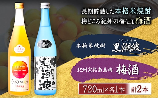 本格米焼酎 黒潮波 （くろしおなみ） と 紀州完熟南高梅 梅酒 720ml×各1本 2本セット 厳選館《90日以内に出荷予定(土日祝除く)》 和歌山県 日高川町 酒 梅酒 焼酎 米焼酎 果実酒----wshg_genknku_90d_22_13000_2p---