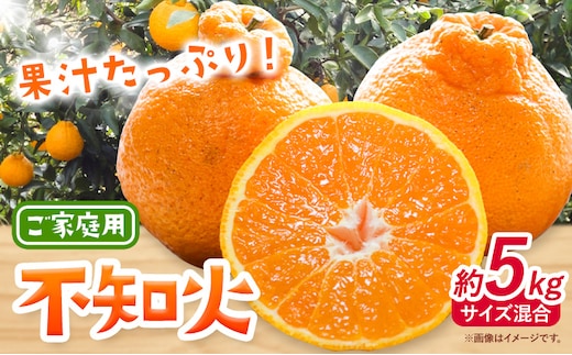 みかん 不知火 ご家庭用 5kg サイズ混合 GOGO農園《2027年1月下旬-3月中旬頃出荷》 和歌山県 日高川町 しらぬい みかん 柑橘 蜜柑 フルーツ 送料無料---wshg_gof40_1g3c_26_10000_5kg---