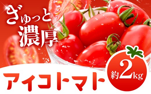 トマト アイコトマト ミニトマト 2kg GOGO農園 《11月上旬-5月末頃出荷》 和歌山県 日高川町 野菜 とまと サラダ カプレーゼ お弁当 青果物---wshg_gof42_11j5m_26_12000_2kg---