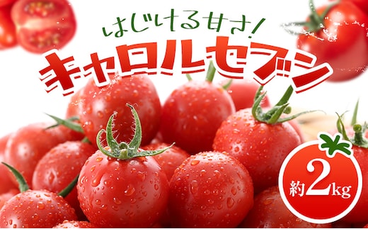トマト キャロルセブン ミニトマト 2kg GOGO農園 《11月上旬-5月末頃出荷》 和歌山県 日高川町 野菜 とまと サラダ カプレーゼ お弁当 青果物---wshg_gof41_11j5m_26_14000_2kg---