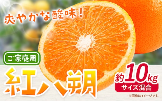 紅八朔 ご家庭用 10kg サイズ混合 GOGO農園《2027年1月中旬-2月末頃出荷》 和歌山県 日高川町 はっさく みかん 柑橘 蜜柑 フルーツ 送料無料---wshg_gof38_1c2m_26_14000_10kg---