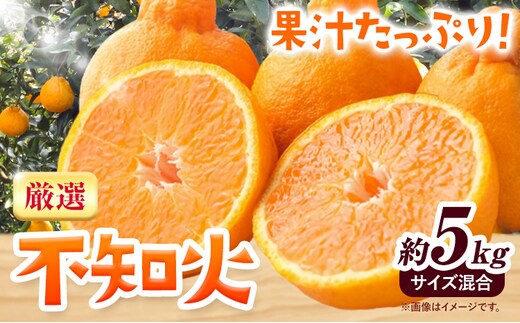 みかん 不知火 厳選 5kg サイズ混合 GOGO農園《2027年1月下旬-3月中旬頃出荷》 和歌山県 日高川町 しらぬい みかん 柑橘 蜜柑 フルーツ 送料無料---wshg_gof39_1g3c_26_12000_5kg---