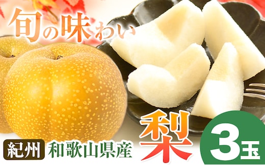 【2026年先行予約】紀州和歌山県産の梨 3玉 化粧箱入 魚鶴商店《8月中旬-9月上旬出荷》和歌山県 日高川町 和歌山県産 梨 なし ナシ 贈り物 ギフト---wshg_uot66_8c9j_24_10000_3t---