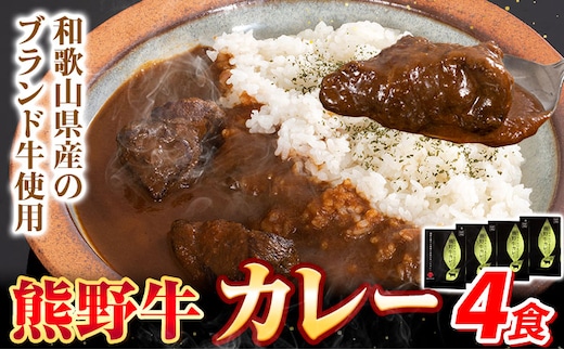 牛肉 熊野牛 カレー 4食セット 株式会社Meat Factory《30日以内に出荷予定(土日祝除く)》和歌山県 日高川町 熊野牛 牛 和牛 焼肉 希少部位 ミスジ 焼肉---wshg_mfy37_30d_24_12000_4p---