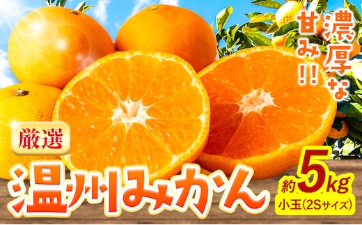 みかん 温州みかん 厳選 5kg 小玉 2Sサイズ 小玉みかん GOGO農園《11月上旬-1月中旬頃出荷》和歌山県 日高川町 みかん 小玉 柑橘類 うんしゅうみかん みかん 柑橘 蜜柑 フルーツ 送料無料---wshg_gof33_11j1c_26_9000_5kg---