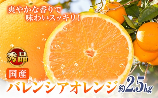 【秀品】※先行予約※希少な国産バレンシアオレンジ 約2.5kg 株式会社 魚鶴商店《2026年6月下旬頃～7月上旬頃出荷》和歌山県 日高川町 オレンジ 柑橘 フルーツ 果物---wshg_uot142_6g7j_25_10000_2500g---