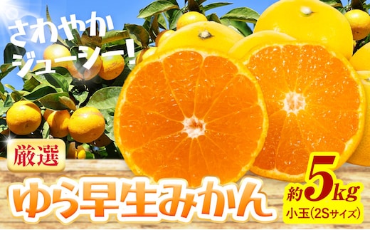 みかん ゆら早生みかん 厳選 小玉 2Sサイズ 5kg GOGO農園《10月上旬-11月末頃出荷》和歌山県 日高川町 みかん 柑橘類 早生 柑橘 蜜柑 フルーツ 送料無料---wshg_gof29_10j11m_26_10000_5kg---