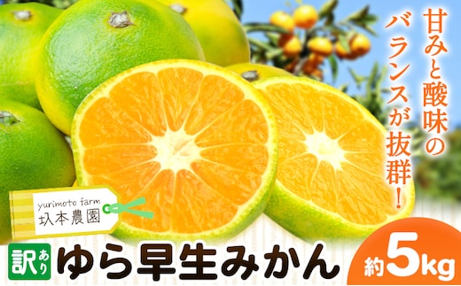 訳あり ゆら早生みかん 5kg 圦本農園 《10月上旬-11月上旬頃出荷》和歌山県 日高川町 送料無料 訳ありみかん 5キロ わけありみかん わけあり 早生 みかん ミカン 柑橘 フルーツ 果物---wshg_yrm6_10j11j_25_13000_5kg---