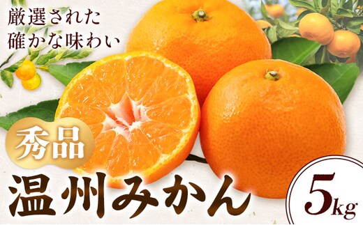 温州みかん 約5kg 秀品 亀井農園 《11月上旬-1月中旬出荷予定(土日祝除く)》和歌山県 日高川町 柑橘類 柑橘 果物 フルーツ ミカン みかん 温州---wshg_kmn2_11j1c_25_11000_5kg---